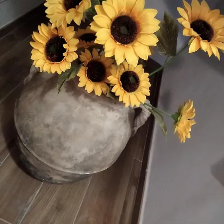 Il Girasole Bed & Breakfast *