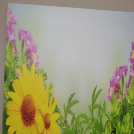 Il Girasole 3* Roccadaspide