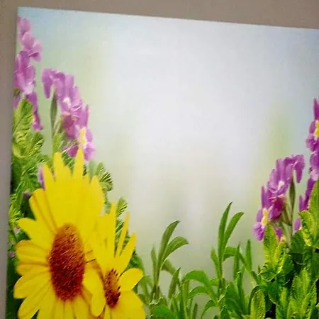 Il Girasole 3* Roccadaspide