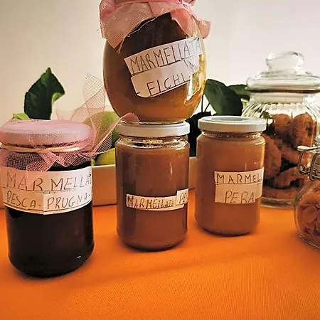 Il Girasole Bed & Breakfast Roccadaspide