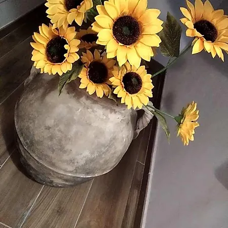 Il Girasole 3* Roccadaspide